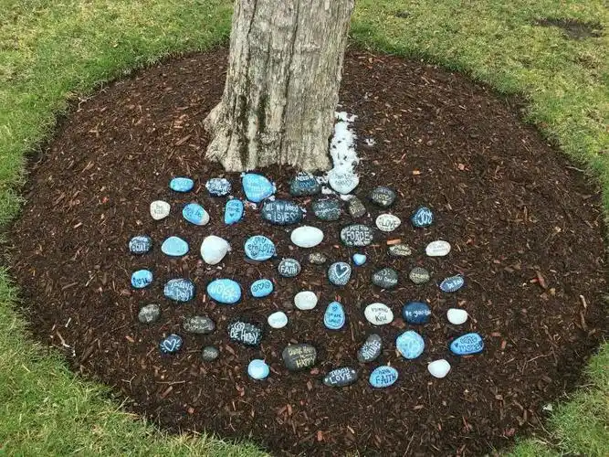 树坑里的鹅卵石多漂亮