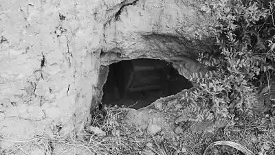 千年古墓 有望迎来久违的宁静