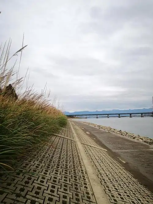 福州乌龙江湿地公园,穿行芦苇荡中观鸟
