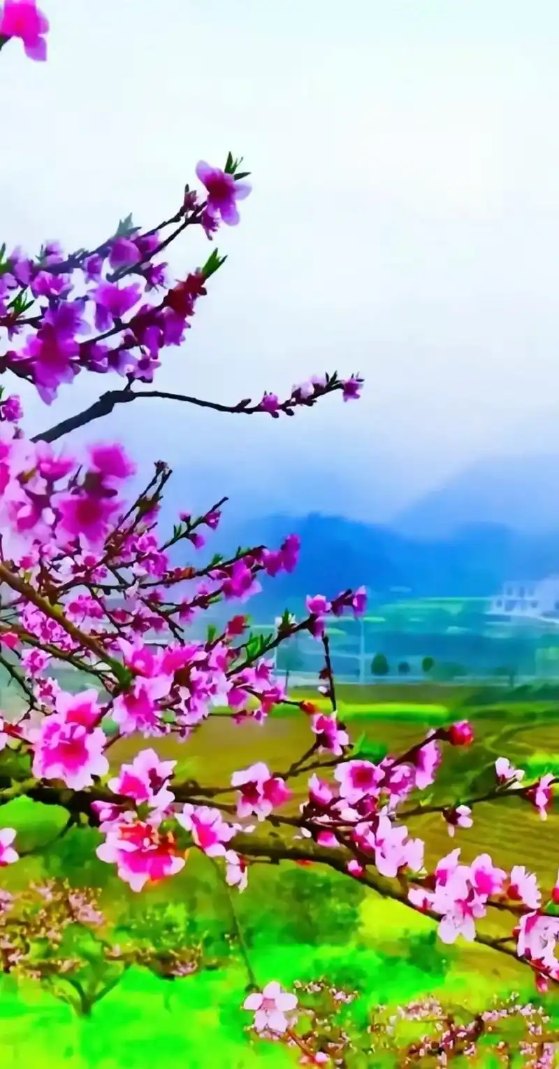 鸟语花香满园春  #最美人间四月天 #赏花94听歌90 # - 抖音