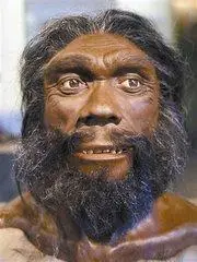 p>猿人被认为是 a href="#" data-lemmaid="31910">人类 /a>的直接 a