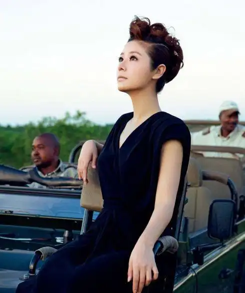 林心如  林心如的侧脸