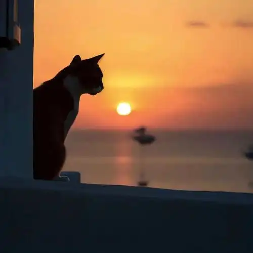 背景图 | 停止期待我只想睡觉_网易订阅