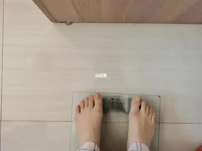 今日初始体重68公斤