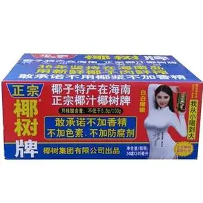 整箱椰树牌椰子汁245mlx24罐装海南特产植物蛋白椰奶椰子商用饮品