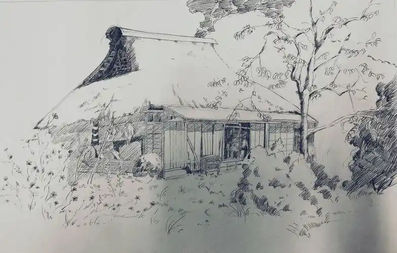 今日份的临摹练习(宫崎骏的场景线稿)