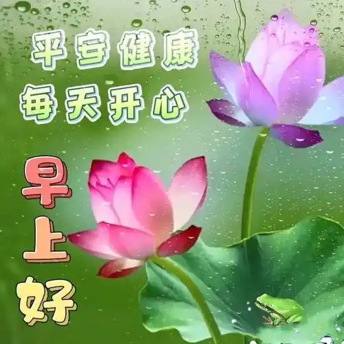 早上好表情包气温越来越高天气越来越热照顾好自己