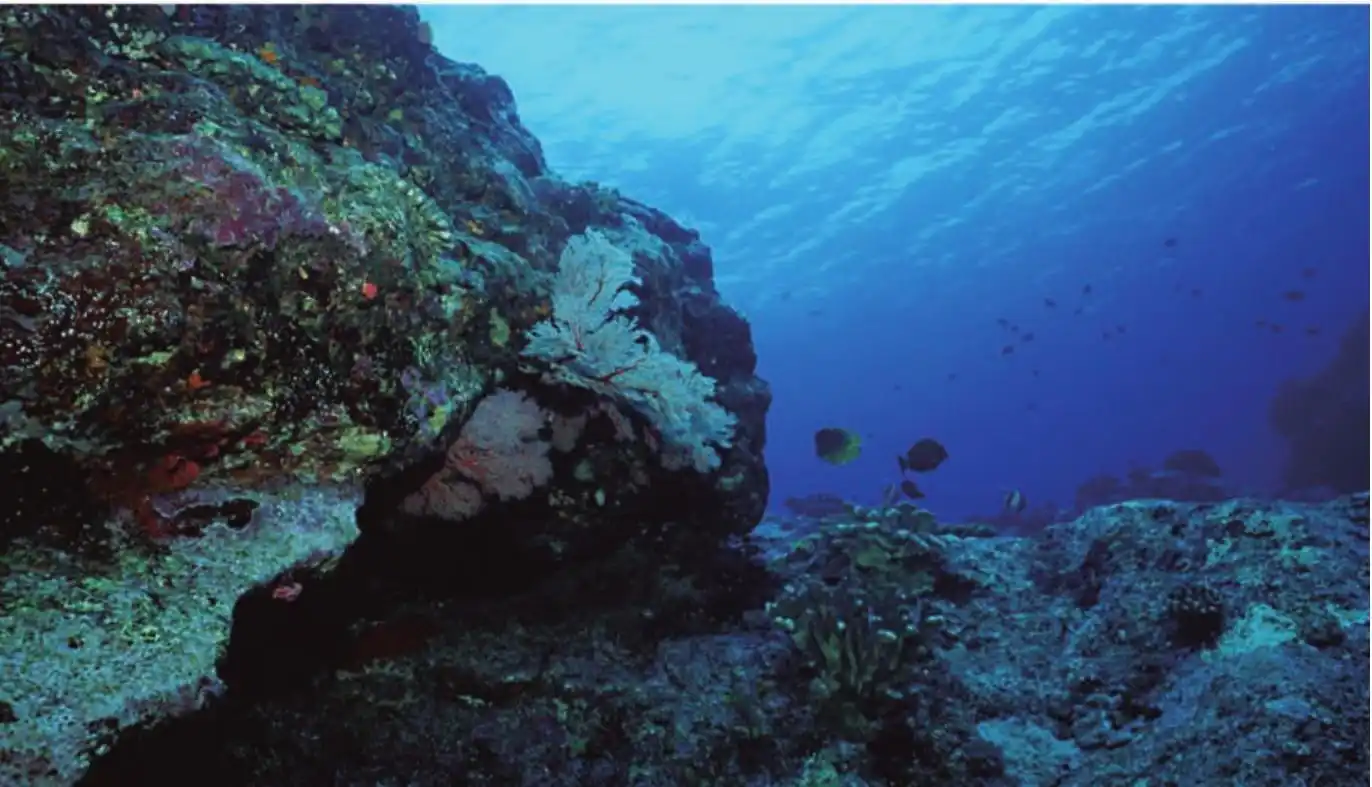 海底地形资源丰富的海洋