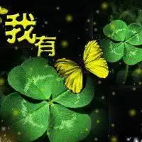 幸运草头像图片大全