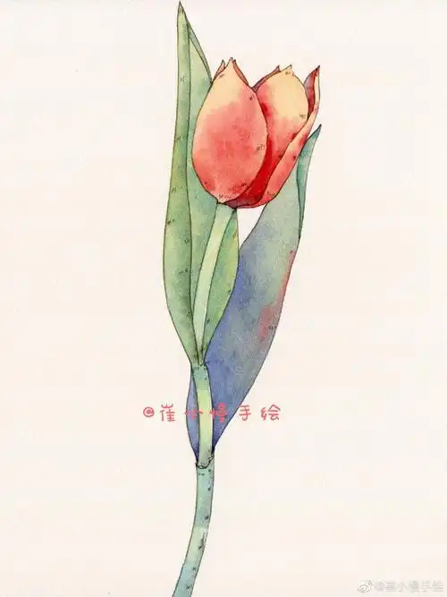 水彩##绘画##水彩教程