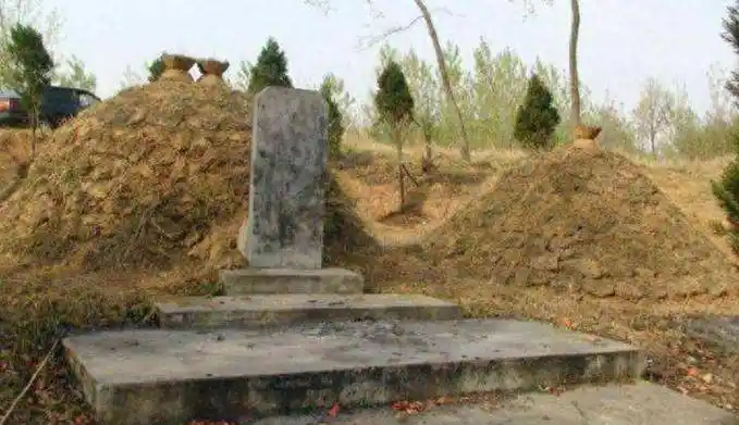 结语每个儿童都是这世间最美丽的花朵,小苏丽本应该在被关爱,被呵护的