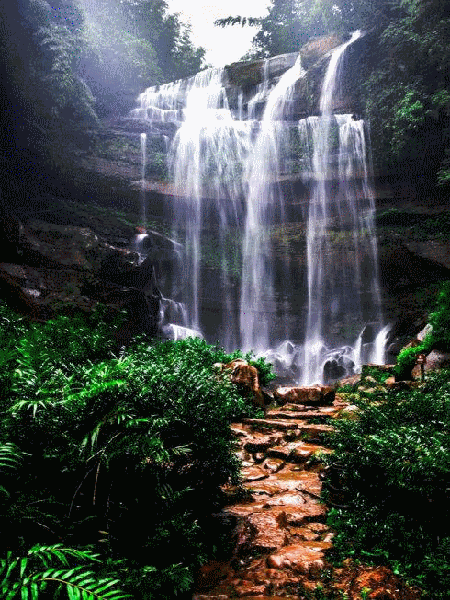 各类动态壁纸图集