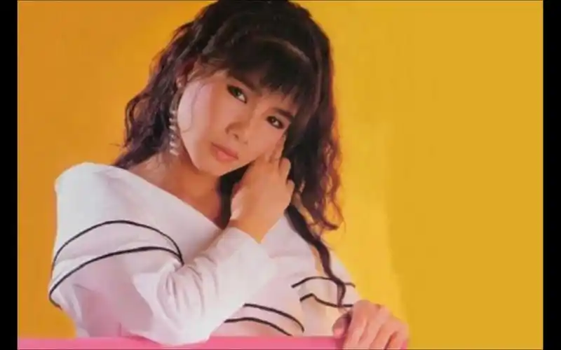 韩宝仪 粉红色的回忆 ktv