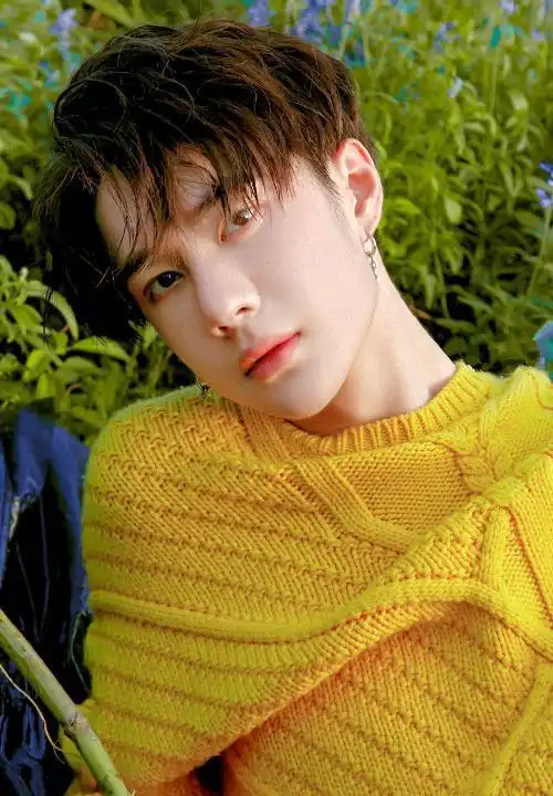 王一博黄色毛衣图片:一博又帅又可爱