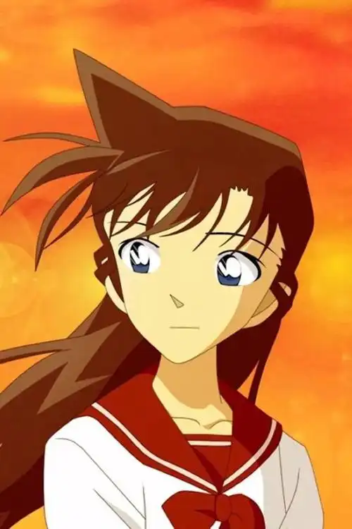 名侦探柯南未解之谜,小兰的发型究竟是怎么回事?