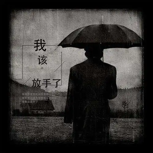 我该放手了临梦齐