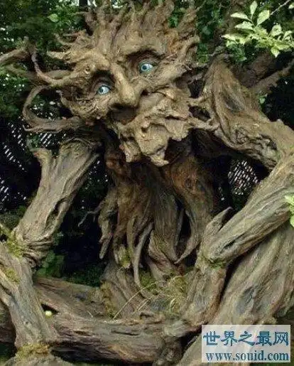 世界上最神奇的吸血植物一碰之后就能吸光你的血