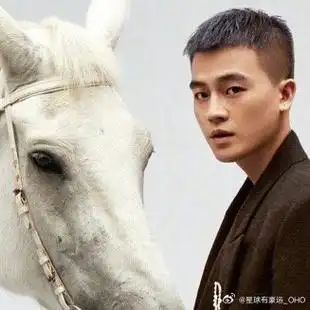 青年演员欧豪##转发接龙开新年