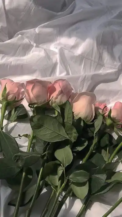 背景- 堆糖,美图壁纸兴趣社区