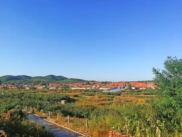 山东莱阳这个小山村晋级"国家森林乡村"!到底凭什么?