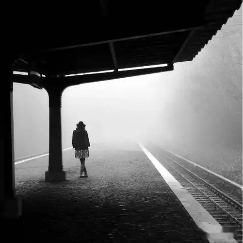 孤独○白鹤林"从童年起,我便独自一人"照顾着历代的星辰孤独○沈苇