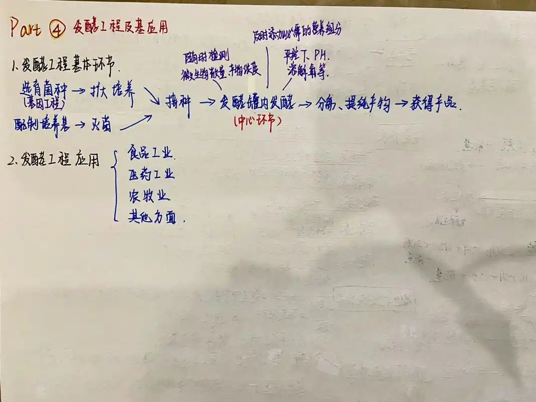 第一章发酵工程 适时整理一下旧知识,做个简单的思维导图,确实很有