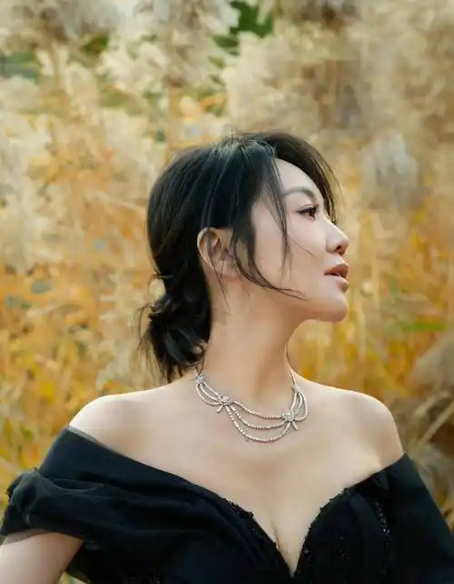 闫妮飞天奖活动造型写真大片曝光,一袭薄纱黑裙尽显优雅气质_长裙