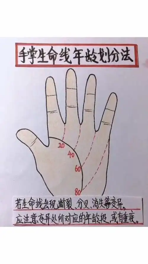 手掌生命线年龄划分法