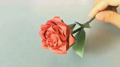 看完就明白了哦  03:11  来源:好看视频-睡莲折纸方法,很漂亮的花朵