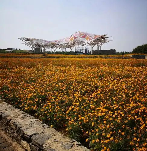 金秋的三台山(江苏宿迁) - 美篇