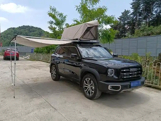 弥补大狗后备箱空间不足,提高大狗承载能力_哈弗大狗车友圈_懂车帝