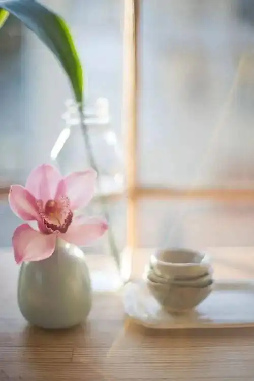 盈一怀温暖,守一隅安静,内心淡然生香,人生喜乐如常