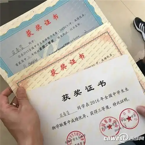 皮春莹在高中获得了多项荣誉证书.