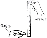 要测定个人的反应速度,可以按图所示,请你的同学用手指拿着一把长30cm