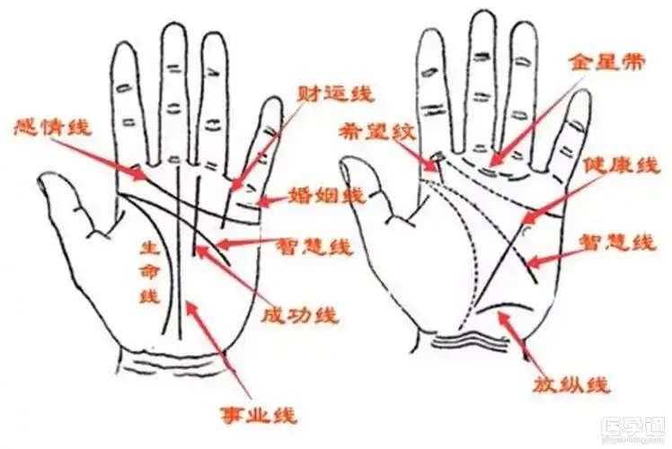 是能够看出准妈妈所怀宝宝的性别,具体相学方法如下:手相解读生男生女