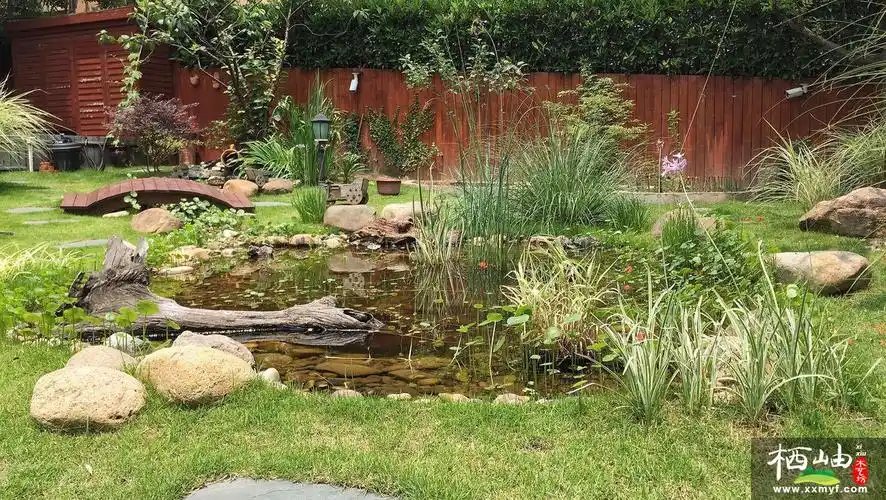 别墅庭院设计中水池的风水知识