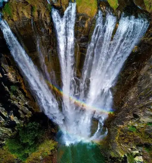 文文:是的~只要转发分享这条信息到微信朋友圈,然后到景区检票处向