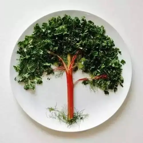 这样的摆盘,看一眼就对食物欲罢不能!