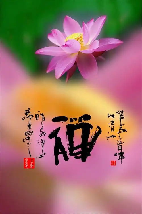 荷韵—那朵莲 - 南无观世音菩萨 - 学佛禅苑