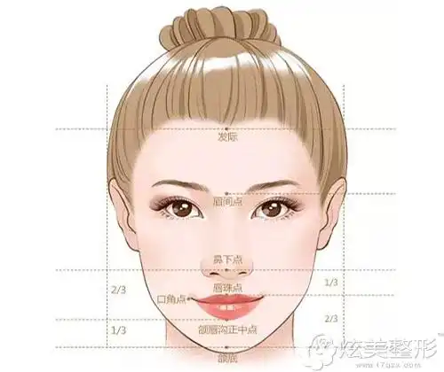 面部美学分为"三庭五眼"