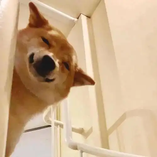 你刷到了一组超好玩的沙雕头像