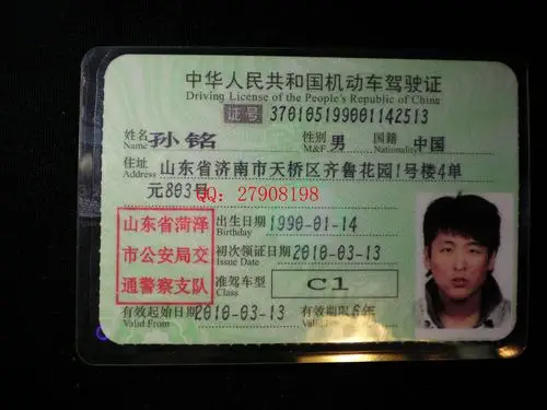 驾驶证样本
