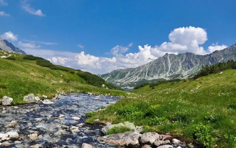 蓝天白云唯美清新图片桌面壁纸高清大图预览1920x1200_风景壁纸下载