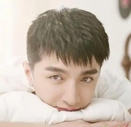 男生刘海打薄剪碎发型图片(2)