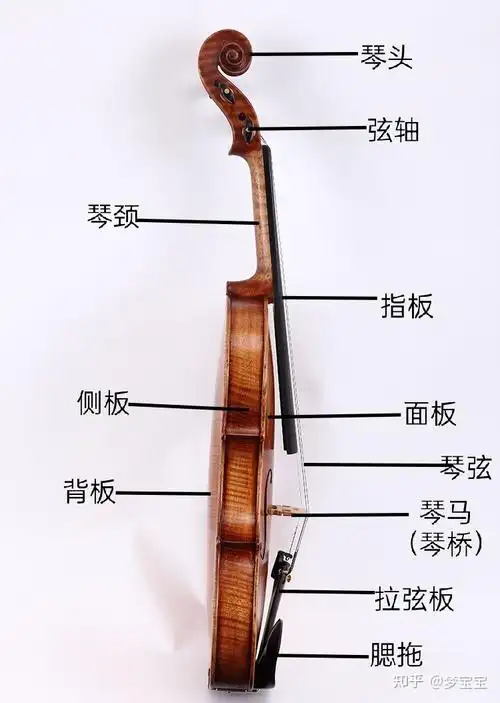 小提琴入门课1认识小提琴