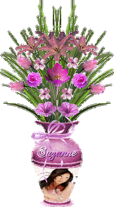 闪闪滴花瓶!【多图】 - 无为居士 - 无为斋