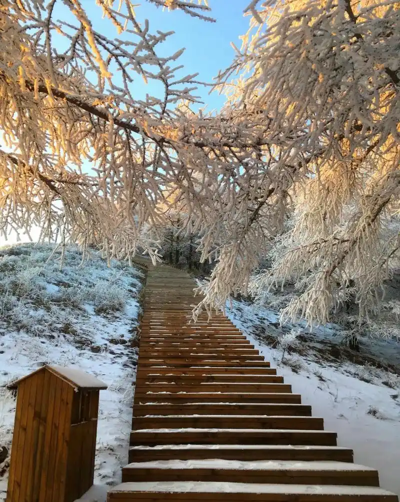 太原户外|岚县饮马池雪野徒步,走进冰天雪地 饮马池亚高山草甸位于