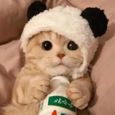 呆萌可爱小动物头像图片