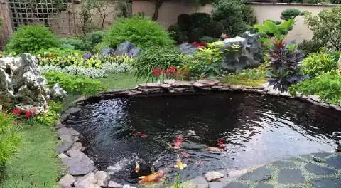 能招财纳福的庭院风水鱼池形状正确掌握赚钱法