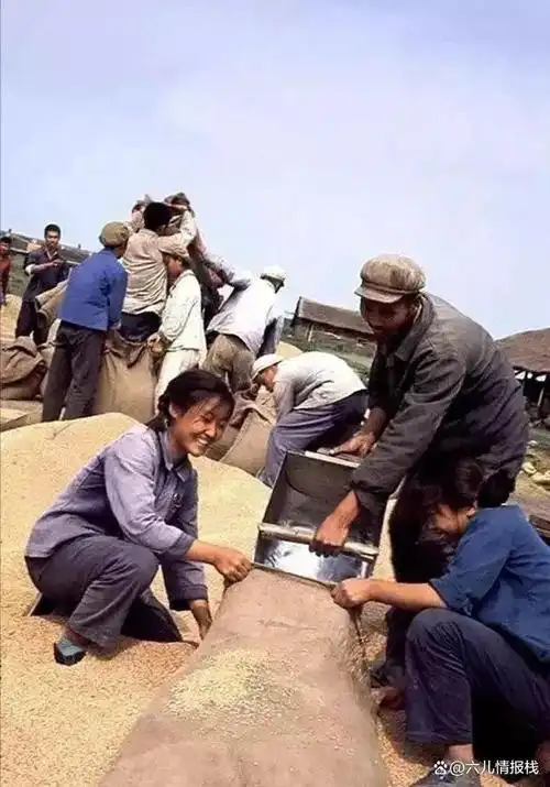 珍贵影像|当年知青下乡生活老照片,每一张都是经典回忆!